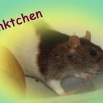 Pünktchen